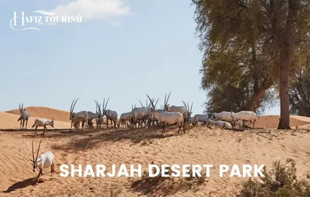 sharjah Desert Park